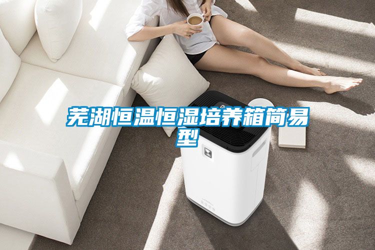 芜湖恒温恒湿培养箱简易型