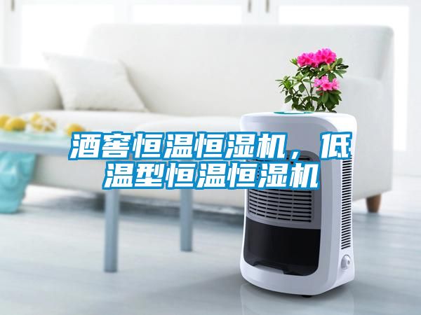 酒窖恒温恒湿机，低温型恒温恒湿机