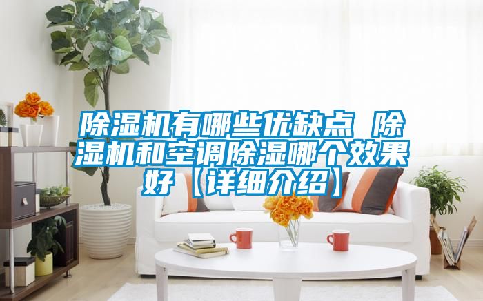 除湿机有哪些优缺点 除湿机和空调除湿哪个效果好【详细介绍】