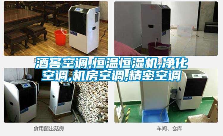 酒窖空调,恒温恒湿机,净化空调,机房空调,精密空调