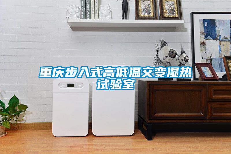 重庆步入式高低温交变湿热试验室
