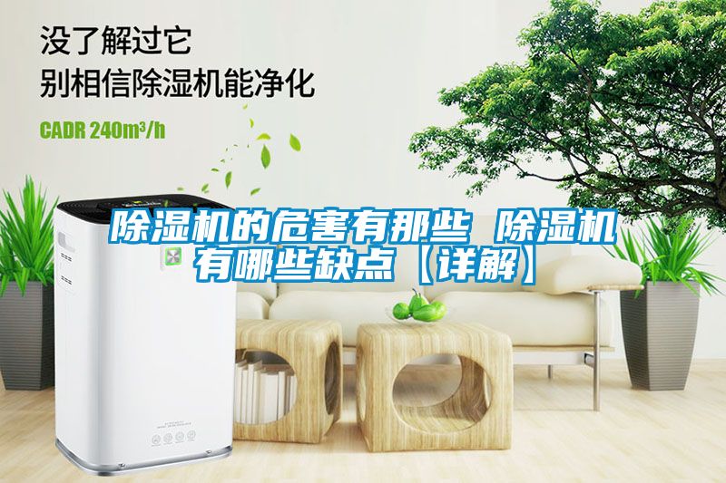 除湿机的危害有那些 除湿机有哪些缺点【详解】