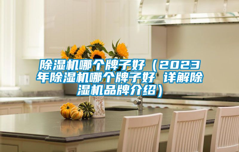 除湿机哪个牌子好（2023年除湿机哪个牌子好 详解除湿机品牌介绍）