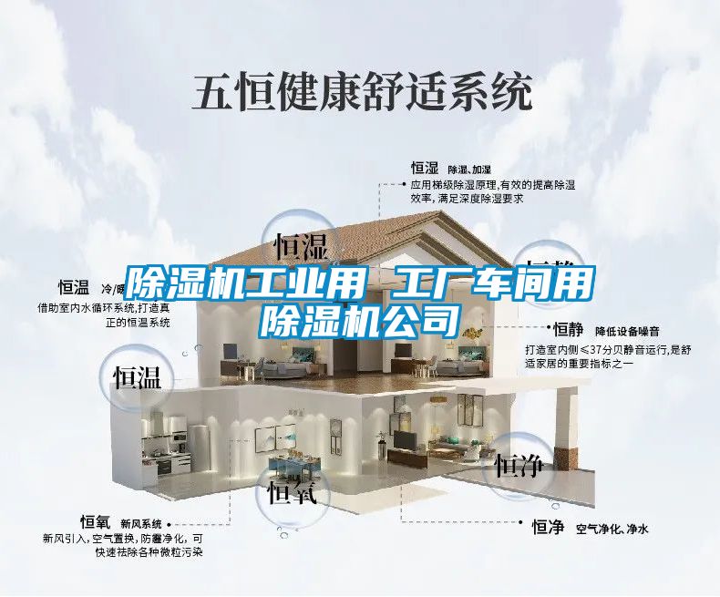 除湿机工业用 工厂车间用除湿机公司