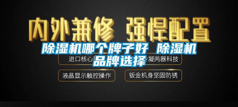 除湿机哪个牌子好 除湿机品牌选择