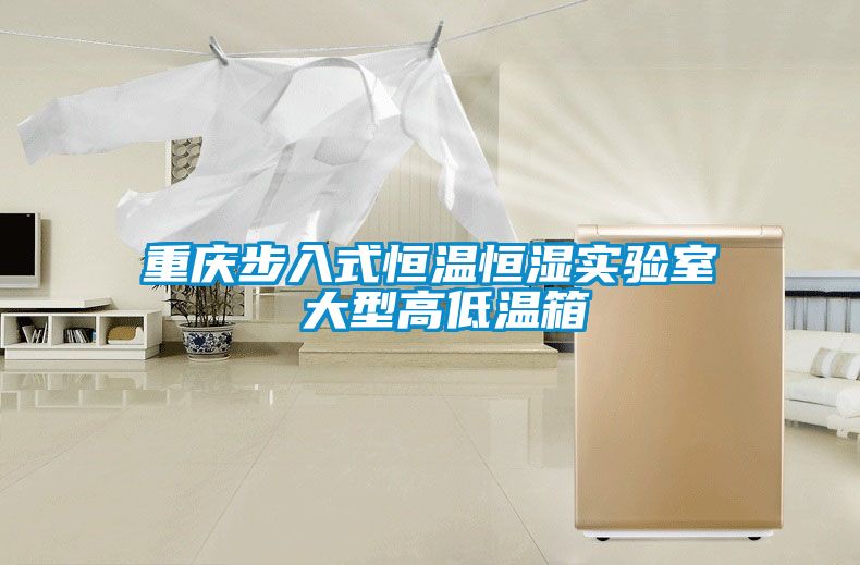 重庆步入式恒温恒湿实验室 大型高低温箱