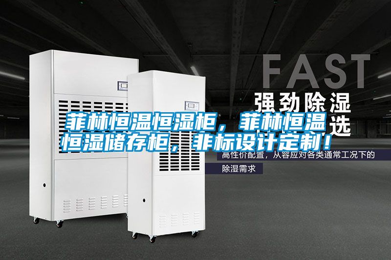 菲林恒温恒湿柜，菲林恒温恒湿储存柜，非标设计定制！