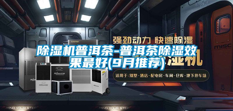 除湿机普洱茶-普洱茶除湿效果最好(9月推荐)
