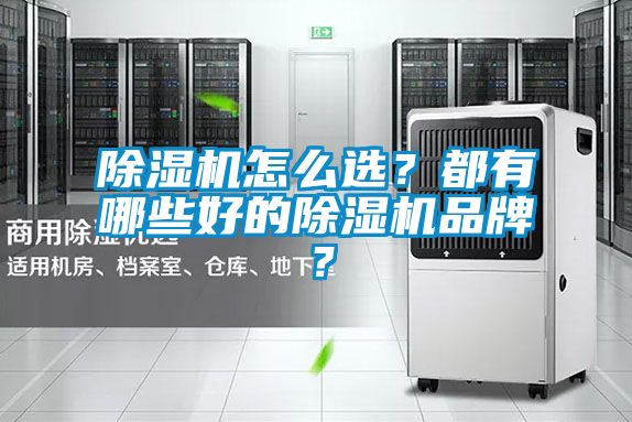 除湿机怎么选？都有哪些好的除湿机品牌？