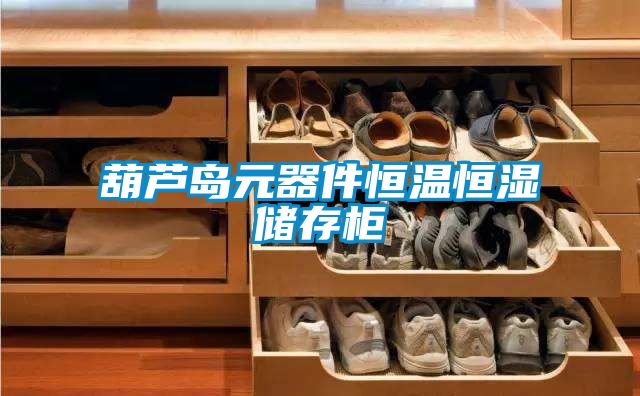 葫芦岛元器件恒温恒湿储存柜