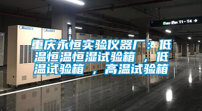 重庆永恒实验仪器厂：低温恒温恒湿试验箱 , 低温试验箱 , 高温试验箱