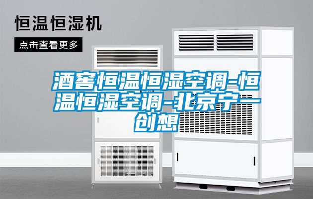 酒窖恒温恒湿空调-恒温恒湿空调-北京宁一创想