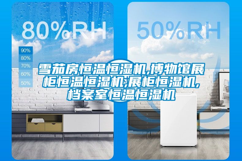 雪茄房恒温恒湿机,博物馆展柜恒温恒湿机,展柜恒湿机,档案室恒温恒湿机