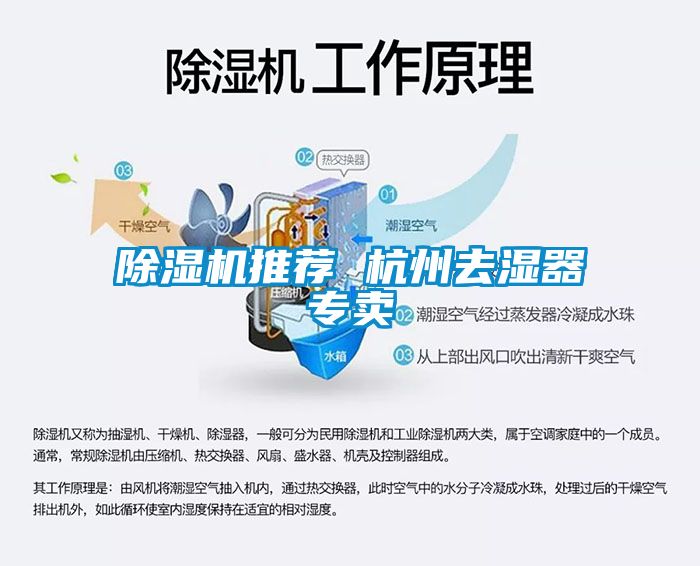 除湿机推荐 杭州去湿器专卖