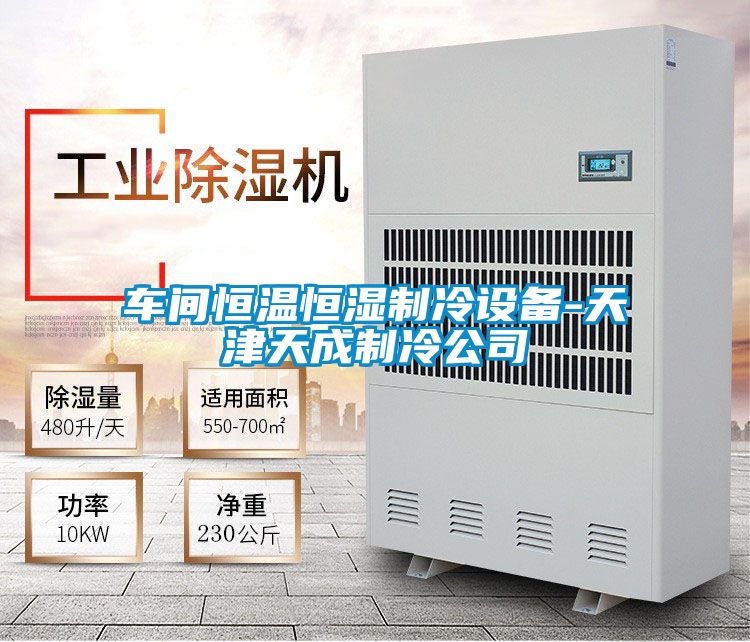车间恒温恒湿制冷设备-天津天成制冷公司