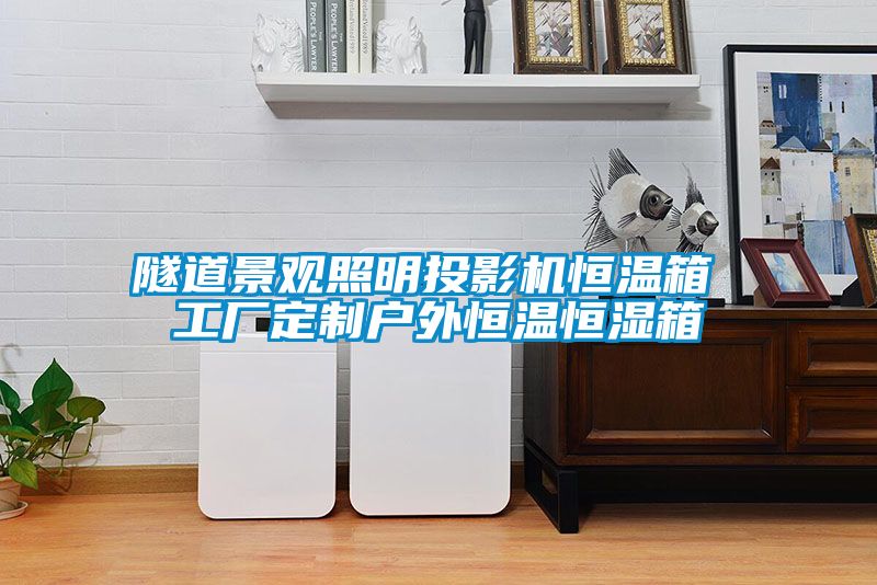 隧道景观照明投影机恒温箱 工厂定制户外恒温恒湿箱