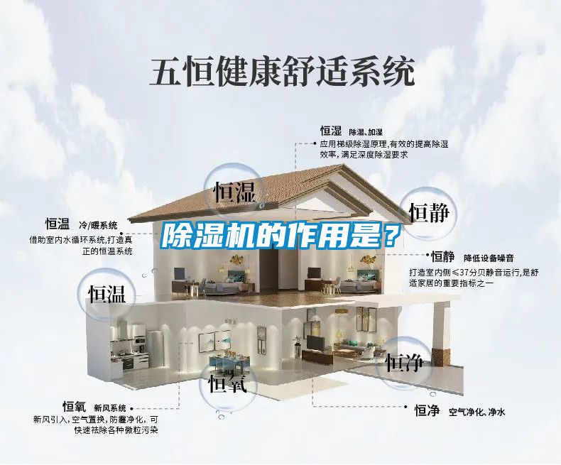 除湿机的作用是？