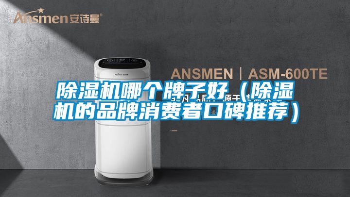 除湿机哪个牌子好（除湿机的品牌消费者口碑推荐）