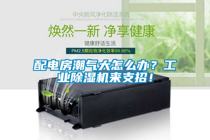 配电房潮气大怎么办？工业除湿机来支招！