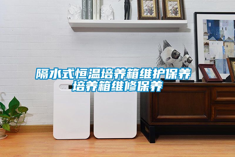 隔水式恒温培养箱维护保养 培养箱维修保养