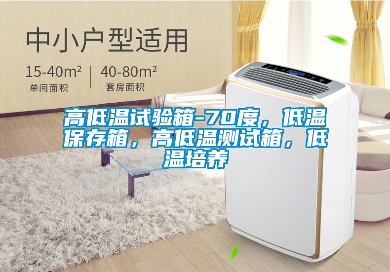 高低温试验箱-70度，低温保存箱，高低温测试箱，低温培养