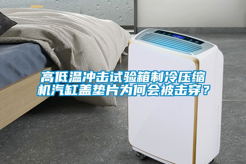 高低温冲击试验箱制冷压缩机汽缸盖垫片为何会被击穿？