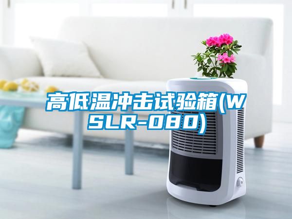 高低温冲击试验箱(WSLR-080)