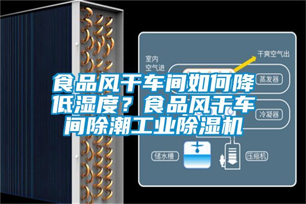 食品风干车间如何降低湿度？食品风干车间除潮工业除湿机