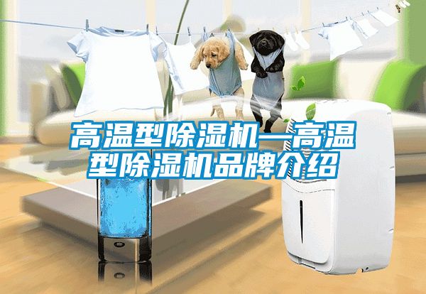 高温型除湿机—高温型除湿机品牌介绍