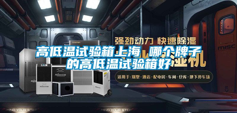 高低温试验箱上海 哪个牌子的高低温试验箱好