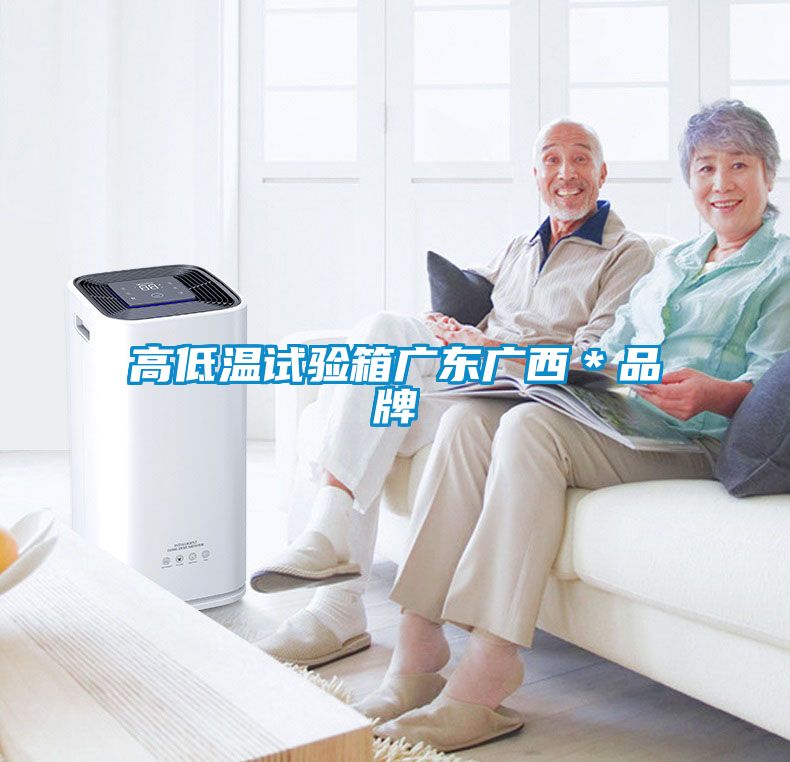 高低温试验箱广东广西＊品牌