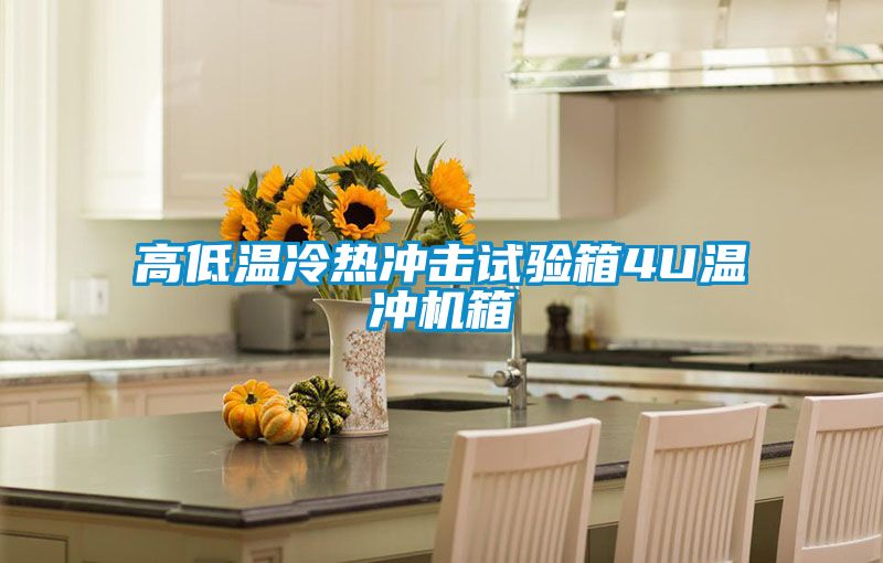 高低温冷热冲击试验箱4U温冲机箱
