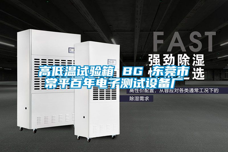 高低温试验箱 BG 东莞市常平百年电子测试设备厂