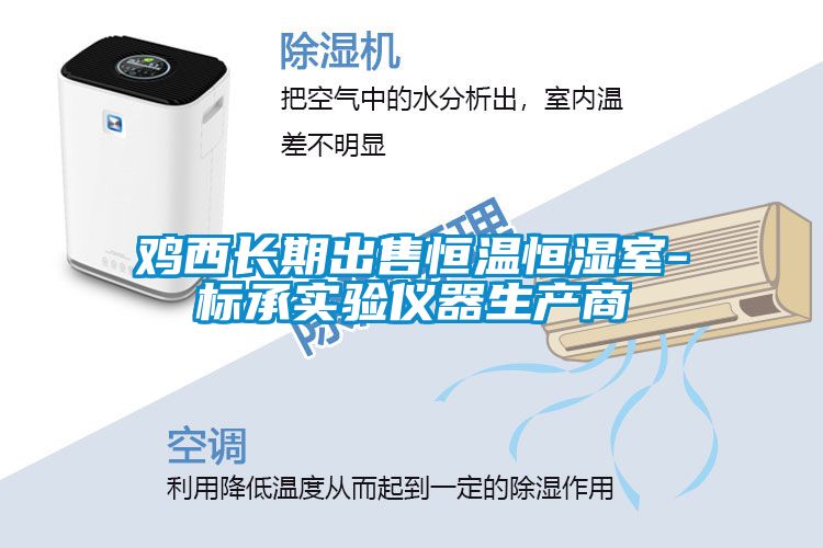 鸡西长期出售恒温恒湿室-标承实验仪器生产商