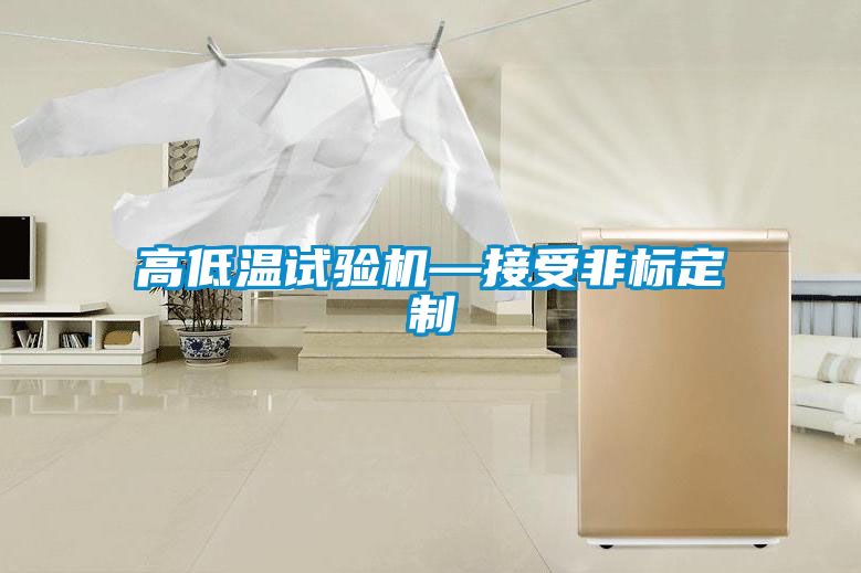 高低温试验机—接受非标定制