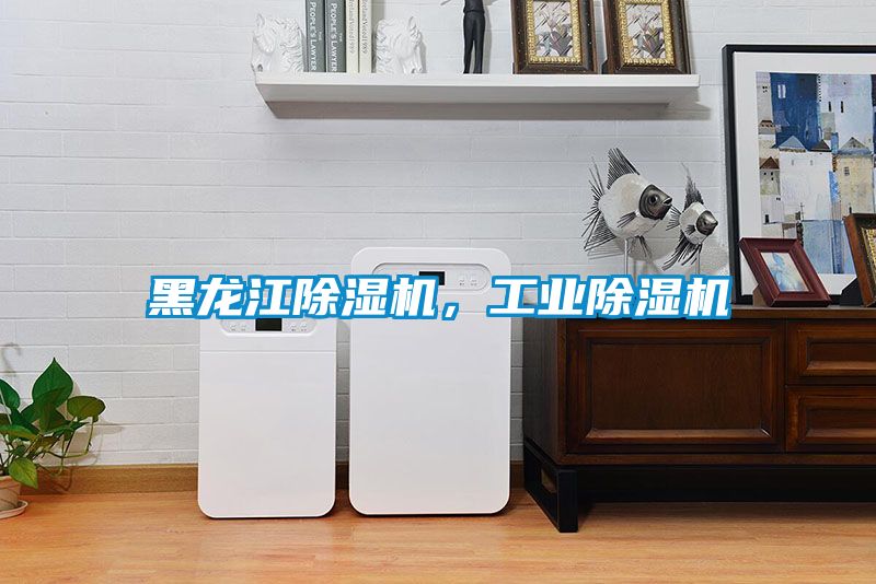 黑龙江除湿机，工业除湿机