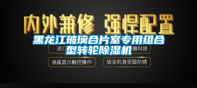 黑龙江玻璃合片室专用组合型转轮除湿机