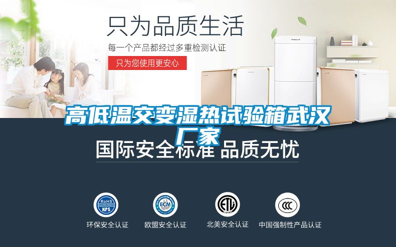 高低温交变湿热试验箱武汉厂家