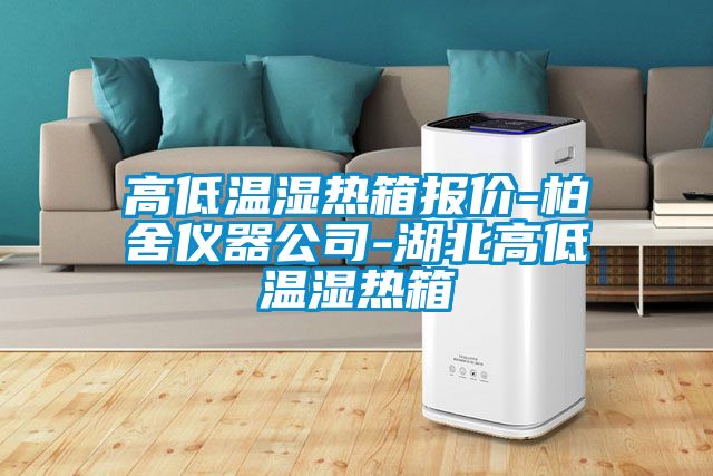 高低温湿热箱报价-柏舍仪器公司-湖北高低温湿热箱