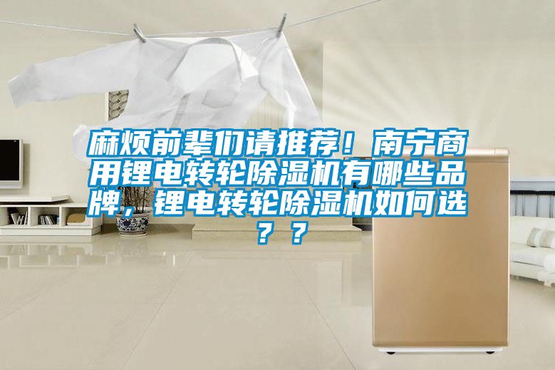 麻烦前辈们请推荐！南宁商用锂电转轮除湿机有哪些品牌，锂电转轮除湿机如何选？？