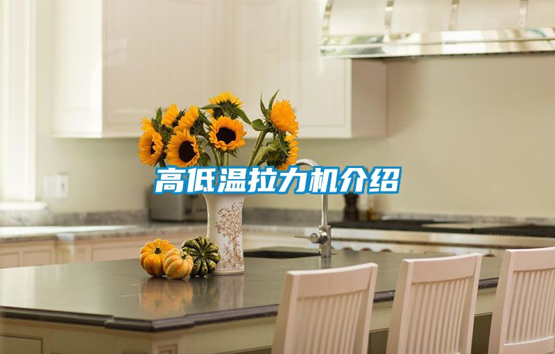 高低温拉力机介绍