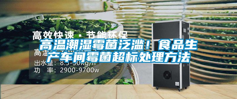 高温潮湿霉菌泛滥！食品生产车间霉菌超标处理方法