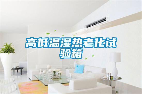 高低温湿热老化试验箱
