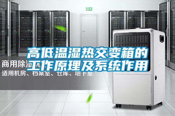 高低温湿热交变箱的工作原理及系统作用