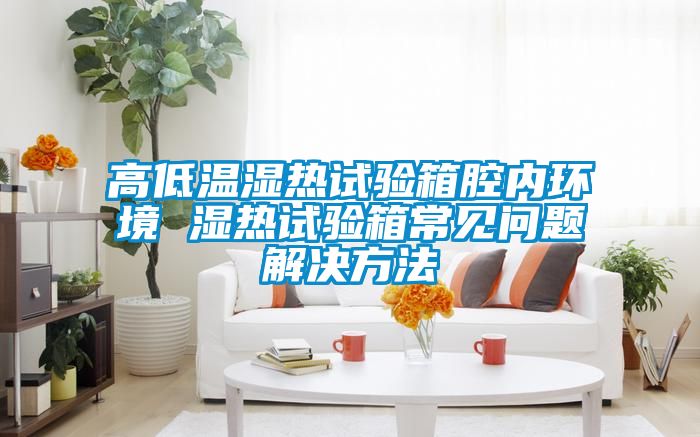 高低温湿热试验箱腔内环境 湿热试验箱常见问题解决方法