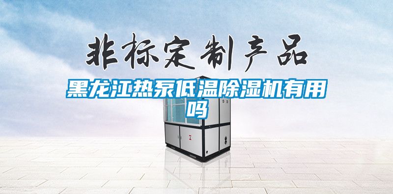 黑龙江热泵低温除湿机有用吗