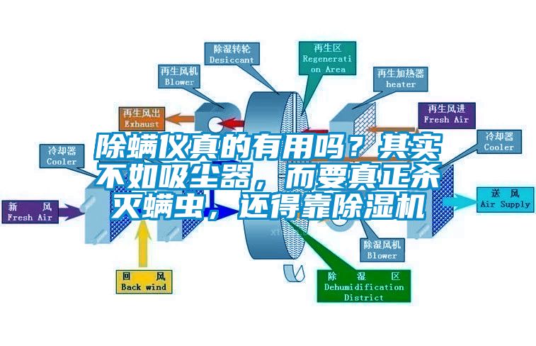 除螨仪真的有用吗？其实不如吸尘器，而要真正杀灭螨虫，还得靠除湿机