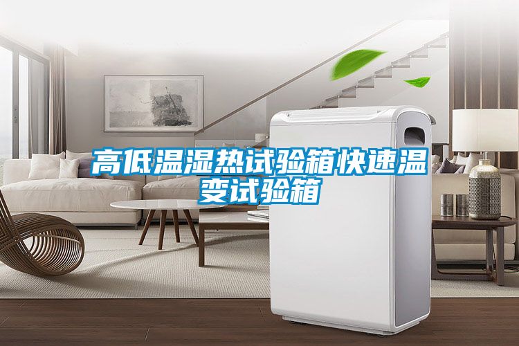 高低温湿热试验箱快速温变试验箱