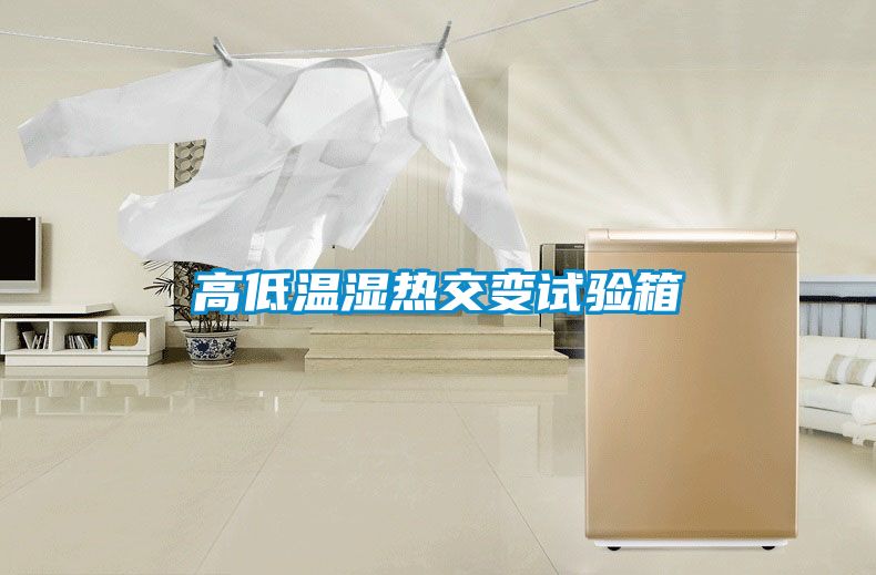 高低温湿热交变试验箱